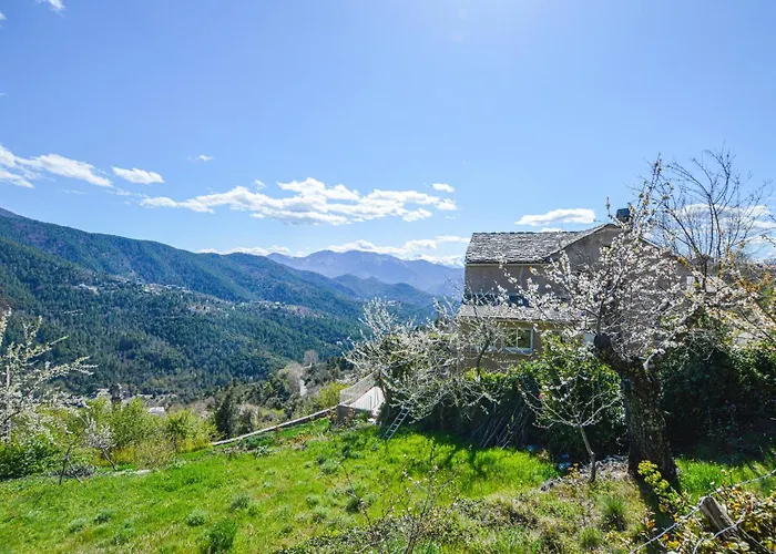 Nice Home In Morosaglia With Kitchen